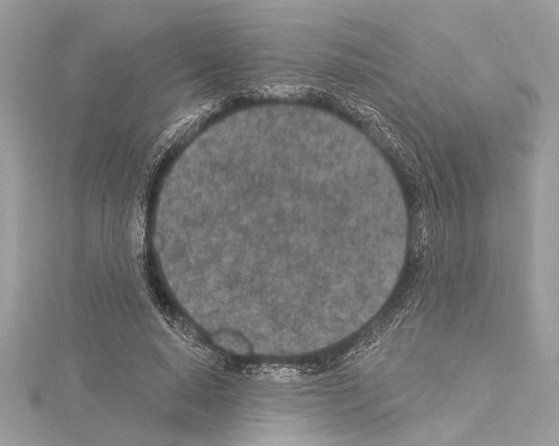 X0000114490640200911301107