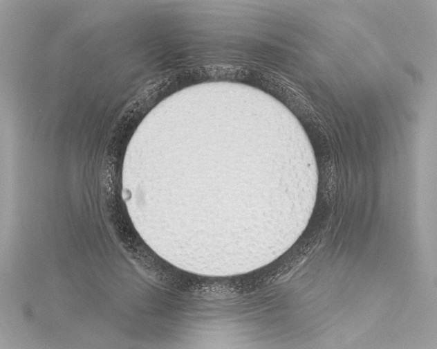 X0000114490644200911301107