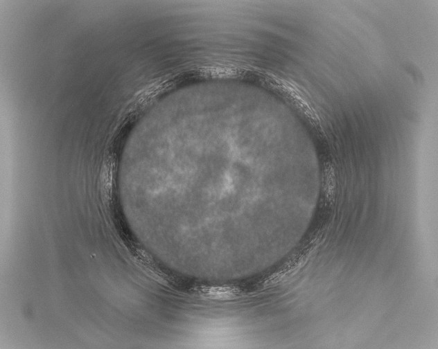 X0000114490645200911301107