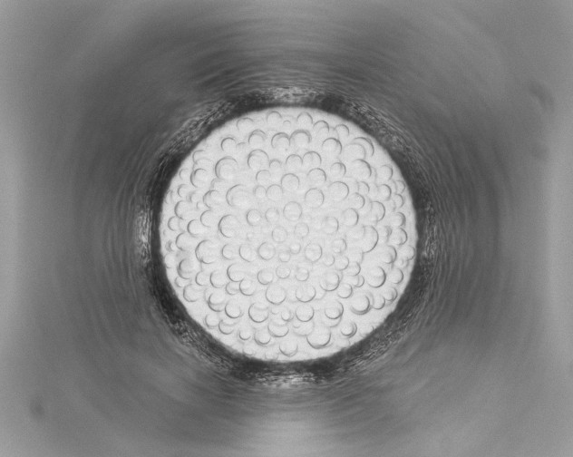 X0000114490646200911301107