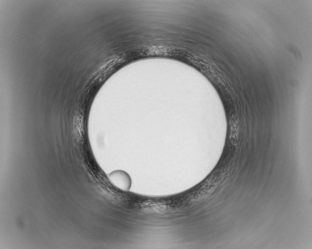 X0000114490648200911301107