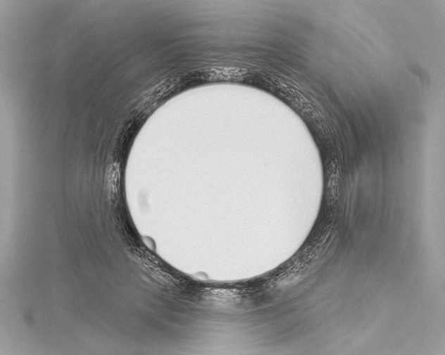 X0000114490649200911301107