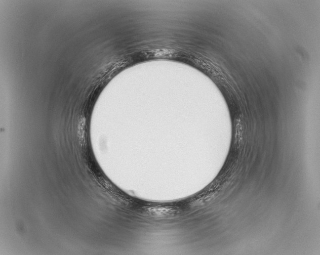 X0000114490650200911301107