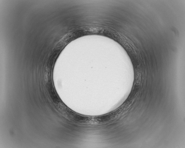 X0000114490656200911301107