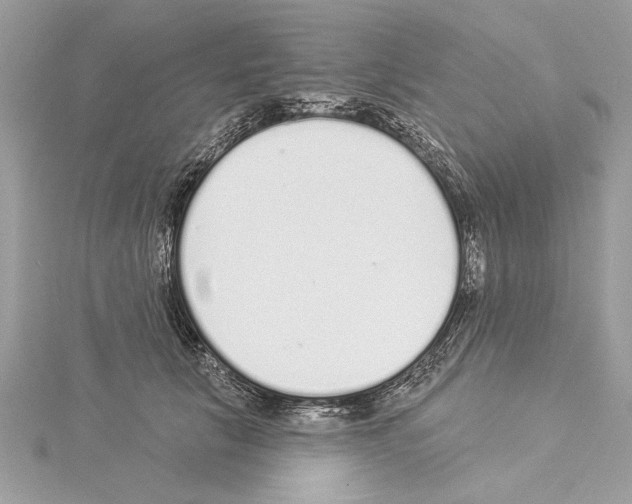 X0000114490657200911301107