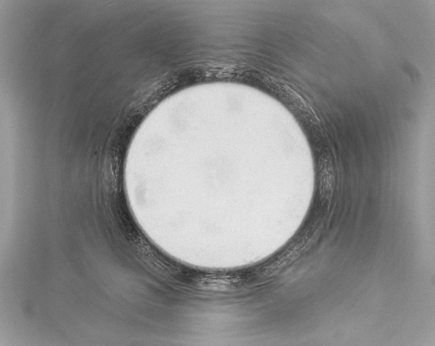 X0000114490661200911301107