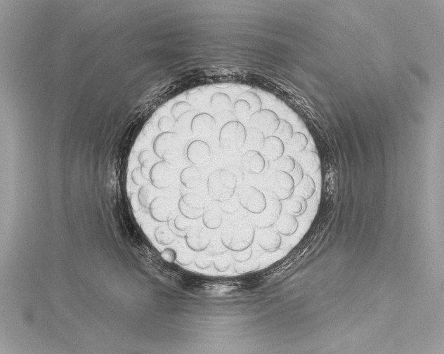 X0000114490662200911301107