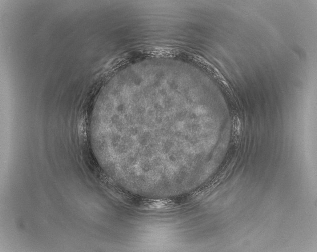 X0000114490663200911301107