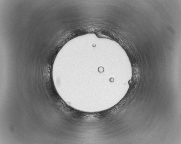 X0000114490664200911301107