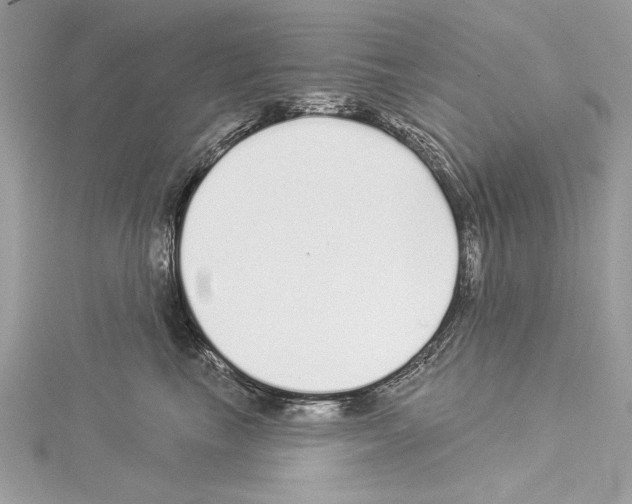 X0000114490665200911301107