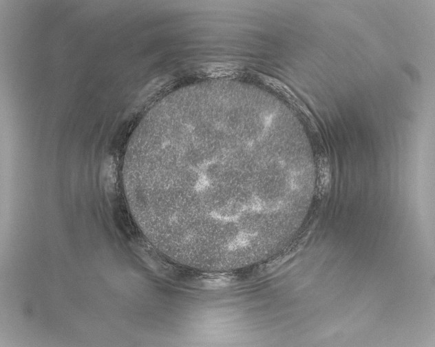 X0000114490667200911301107