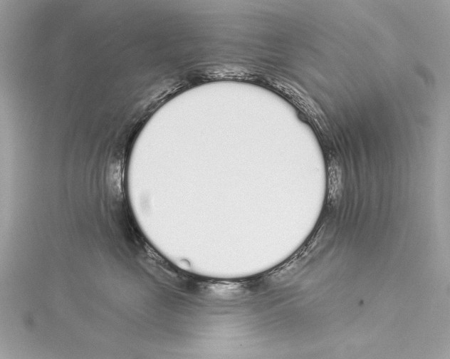 X0000114490669200911301107