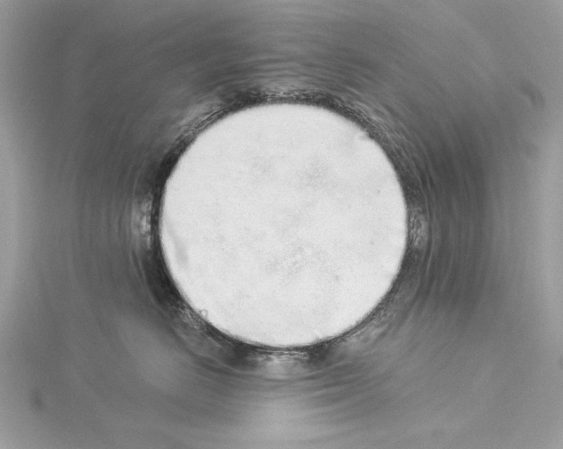 X0000114490670200911301107