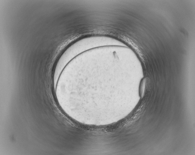 X0000114490673200911301106