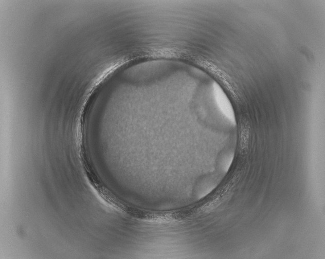 X0000114490674200911301106