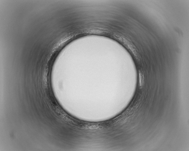 X0000114490675200911301106