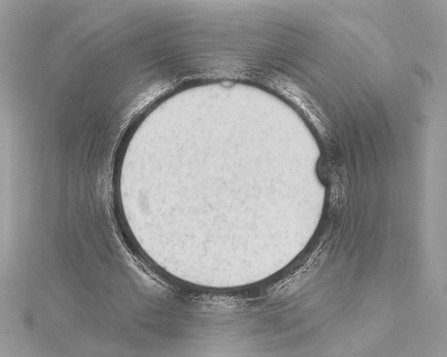 X0000114490677200911301106