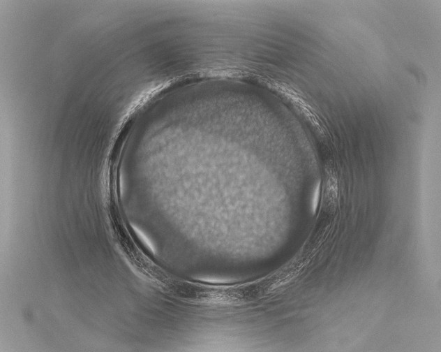 X0000114490678200911301106