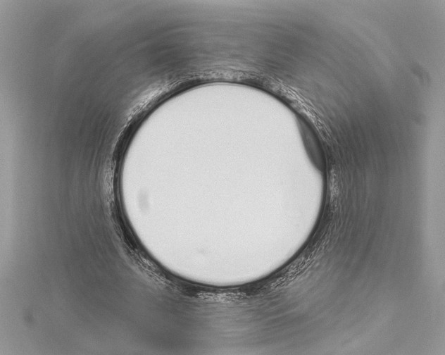 X0000114490679200911301106