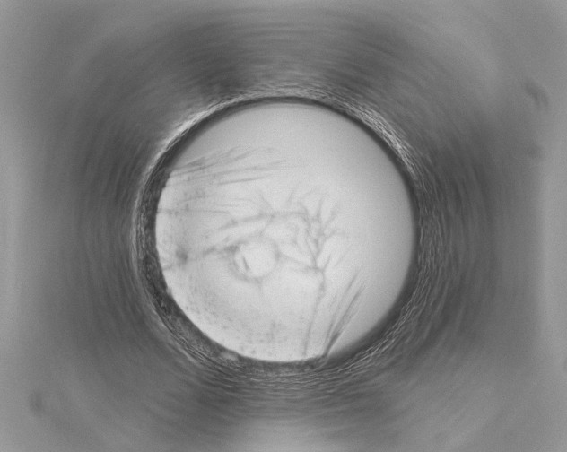 X0000114490680200911301106