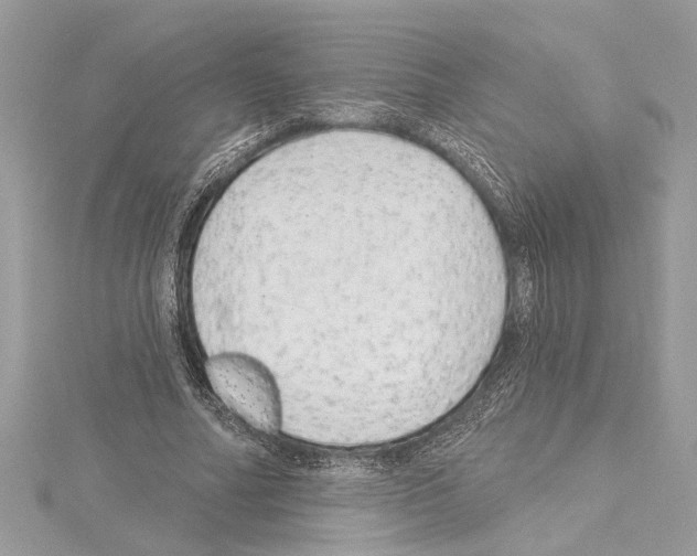 X0000114490682200911301106