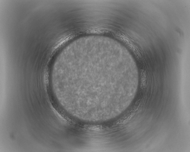 X0000114490683200911301106