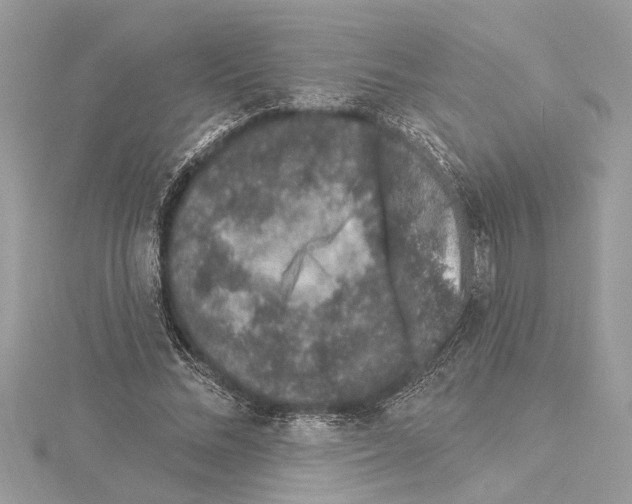 X0000114490684200911301106