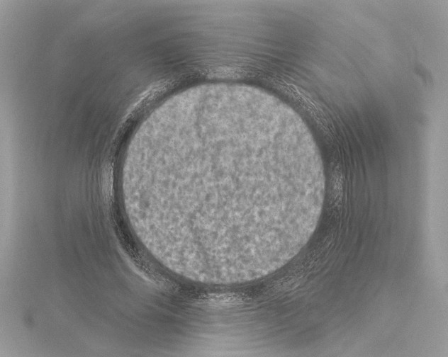 X0000114490686200911301106