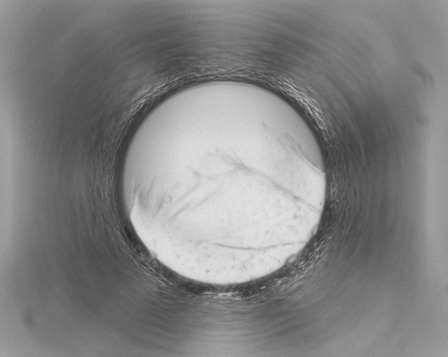 X0000114490689200911301106