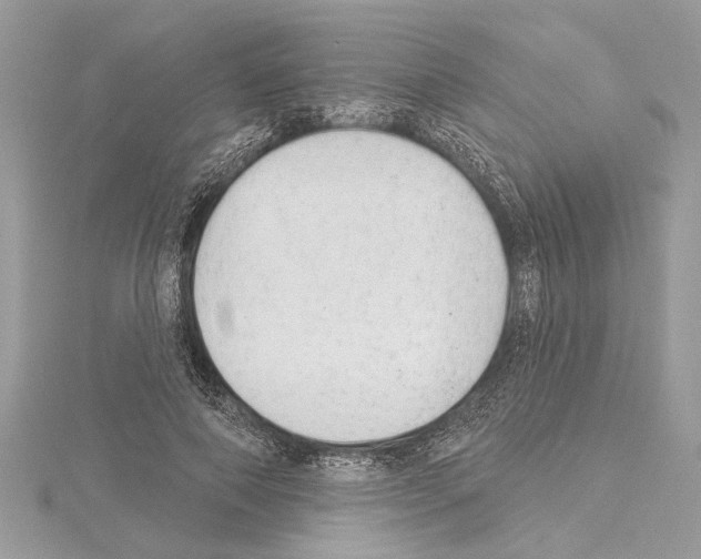 X0000114490690200911301106