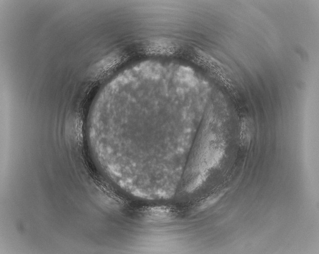 X0000114490692200911301106