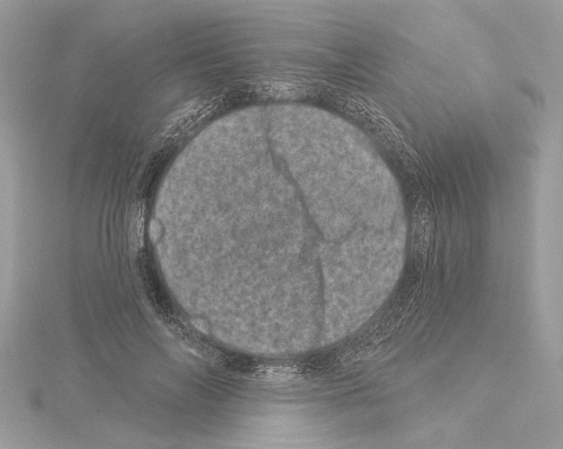 X0000114490694200911301106