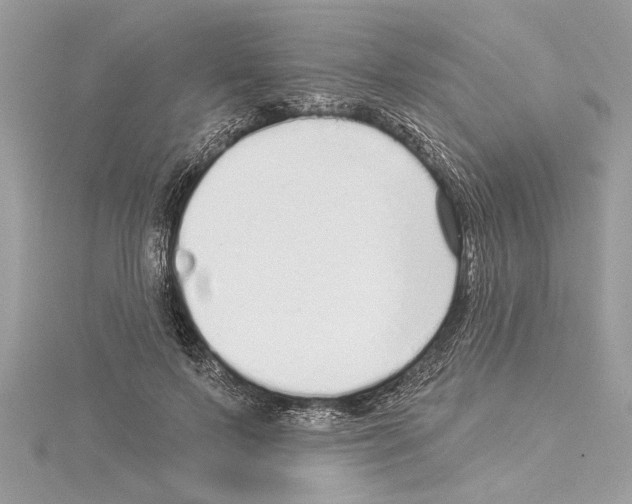 X0000114490695200911301106