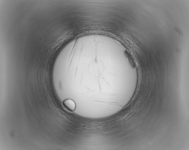 X0000114490696200911301106