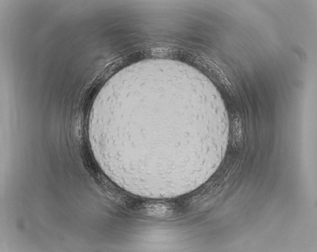 X0000114490698200911301106