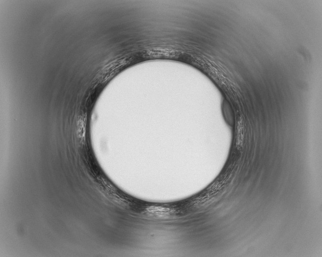 X0000114490699200911301106