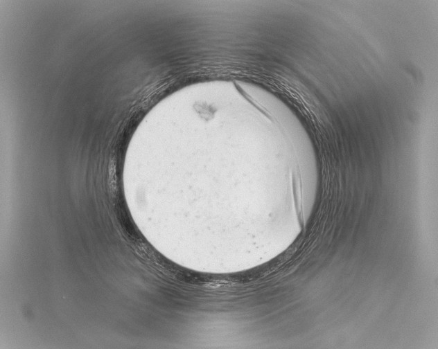 X0000114490700200911301106