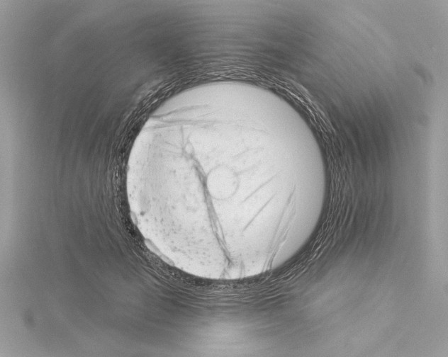 X0000114490701200911301106