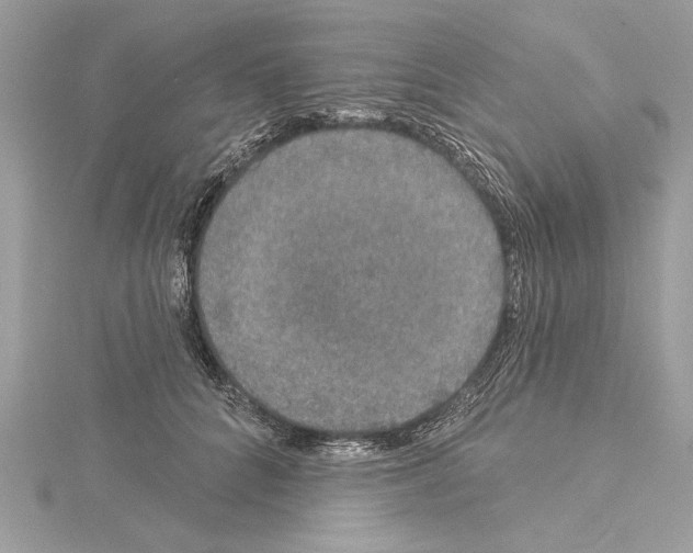 X0000114490704200911301106