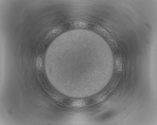 X0000114490705200911301106