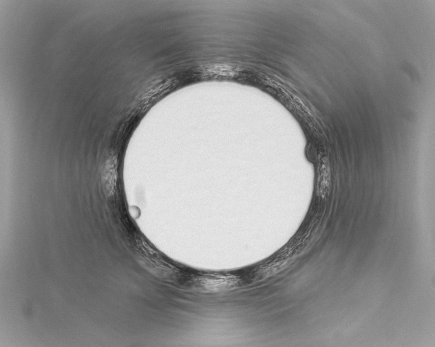 X0000114490707200911301106