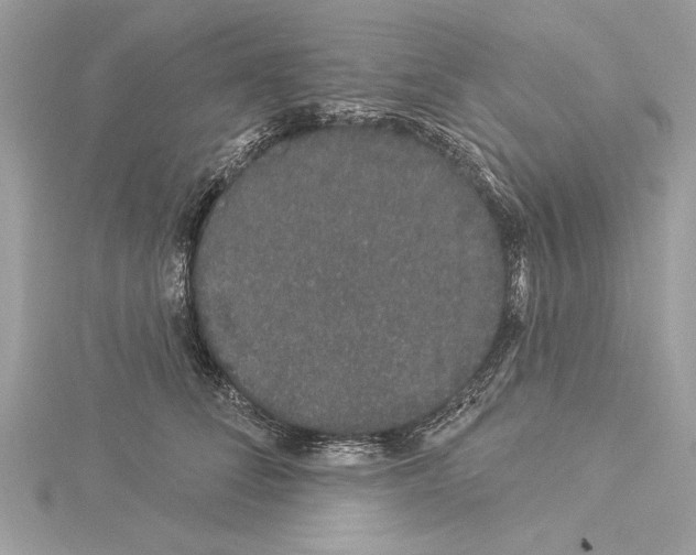 X0000114490708200911301106