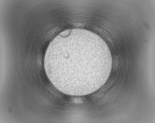 X0000114490710200911301106