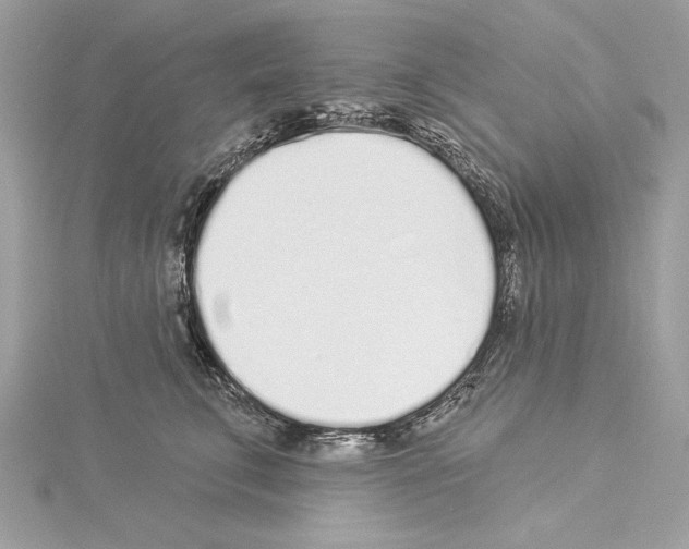 X0000114490711200911301106