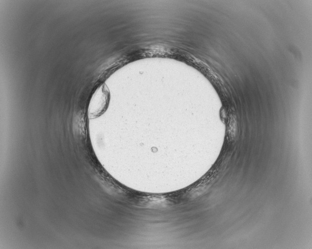 X0000114490715200911301106