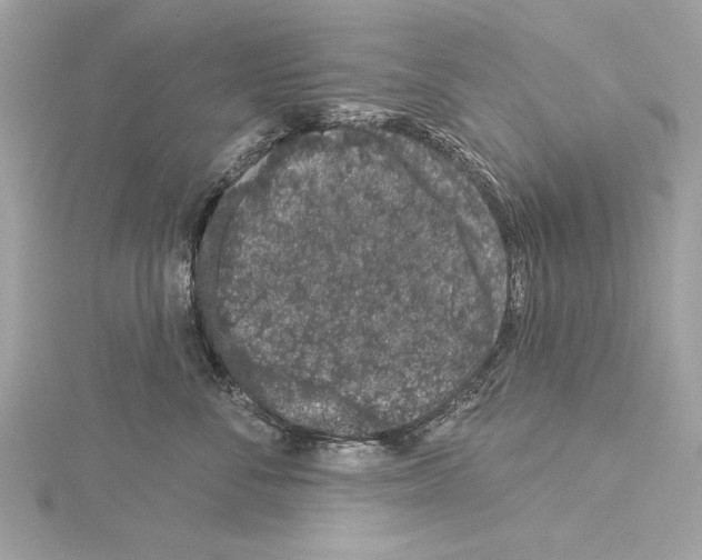 X0000114490716200911301106