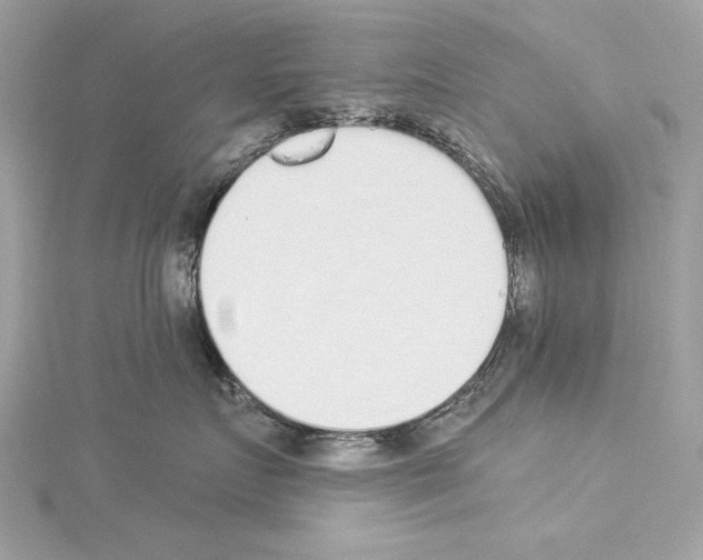 X0000114490719200911301106