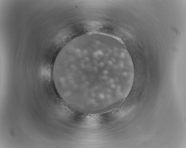 X0000114490720200911301106