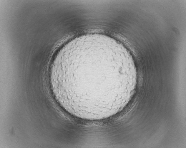 X0000114490721200911301105