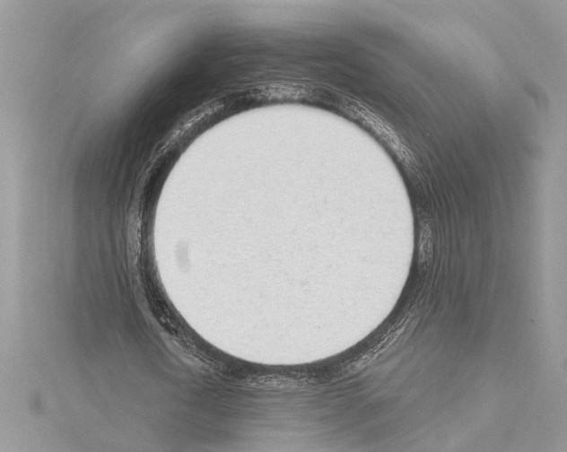 X0000114490722200911301105